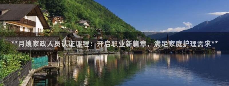 杏悦平台如何