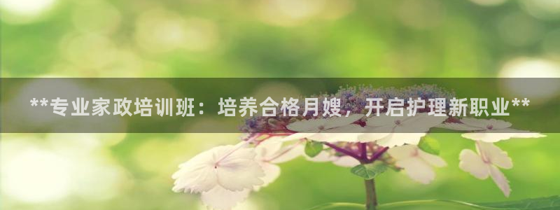 杏悦娱乐注册平台官网