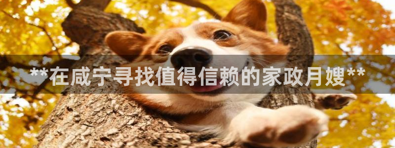 杏悦平台代理怎么赚钱的