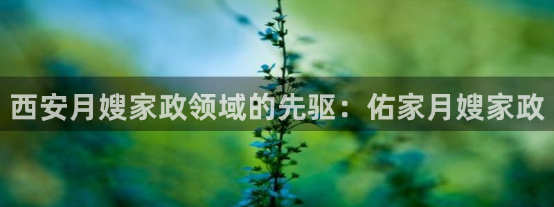 杏悦主管