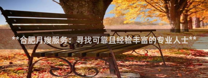 杏悦招商地址