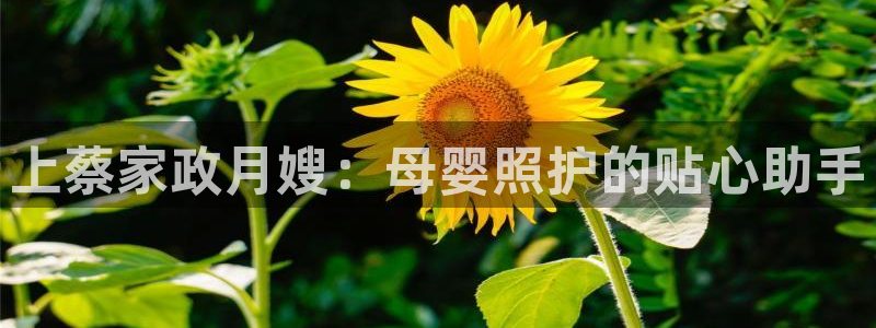杏悦总代理