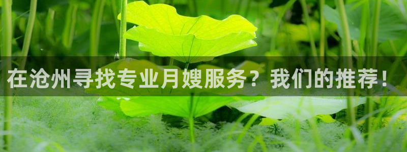 杏悦平台招商