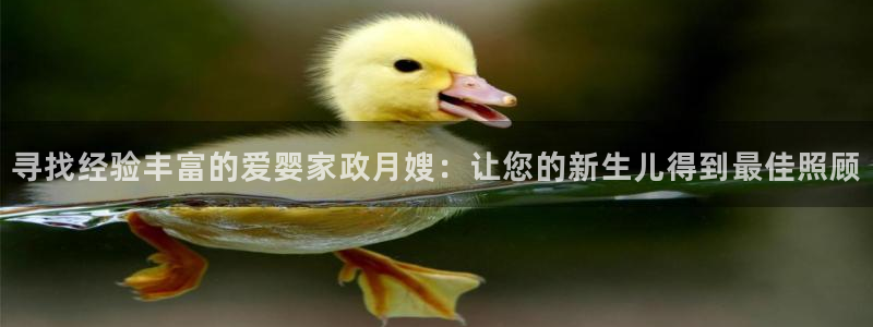 杏悦平台招商电话号码