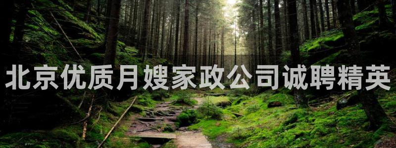 杏悦平台注册地址是哪里