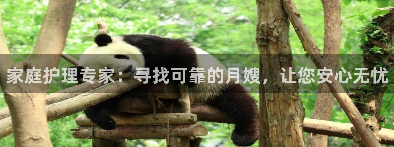 杏悦平台如何注册账号