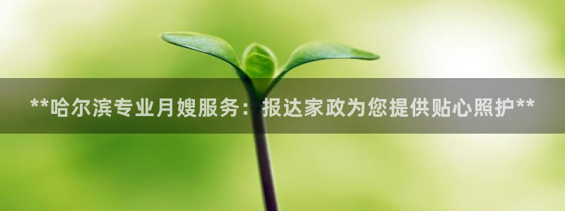 杏悦总代理