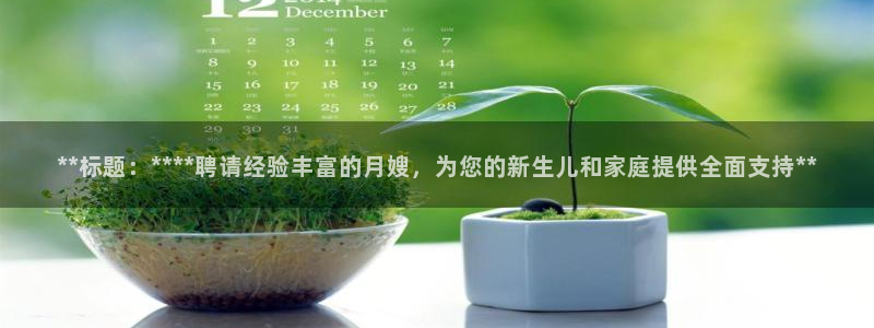 杏悦招商地址
