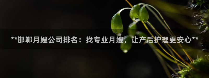 杏悦官方平台官网