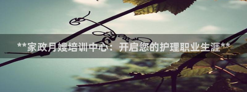 杏悦平台开户地址怎么改