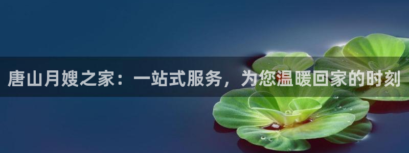杏悦平台代理怎么做赚钱
