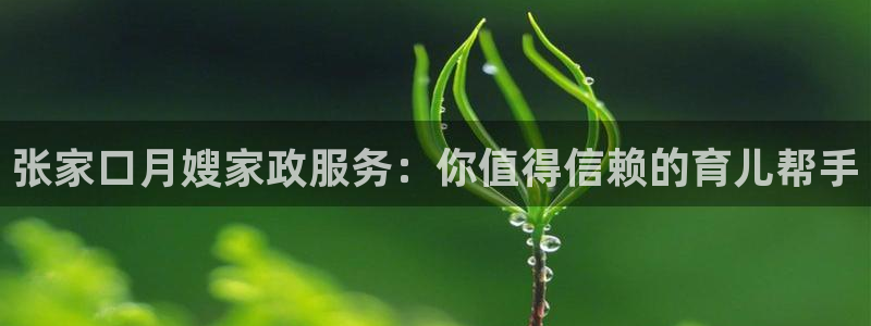 杏悦t首选推荐平台