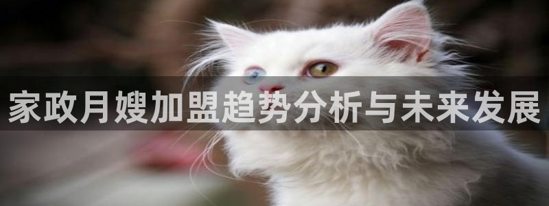 杏悦平台开户地址是什么