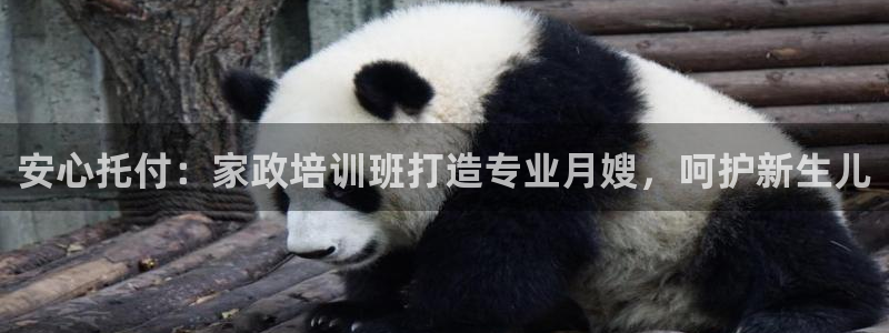 杏悦登录网址是什么