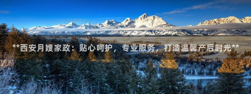 杏悦是什么
