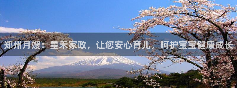 杏悦平台可靠吗可信吗安全吗