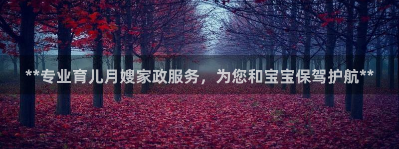 杏悦是什么平台