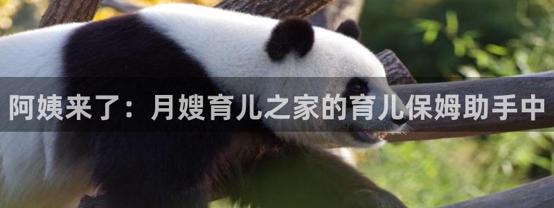 杏悦登入