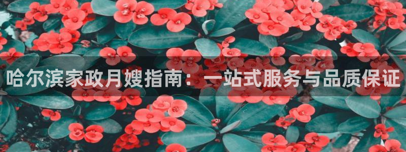 杏悦娱乐平台靠谱吗
