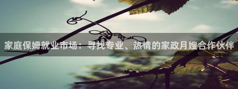 杏悦官方平台官网下载