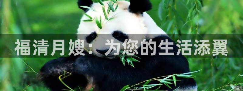 杏悦平台可靠吗是真的吗