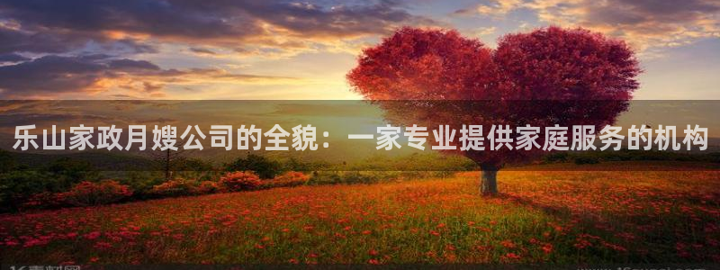 杏悦平台代理怎么做