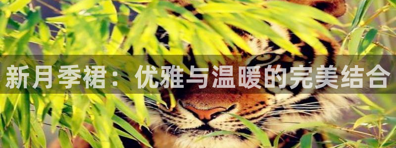 杏悦平台可靠吗是真的吗吗