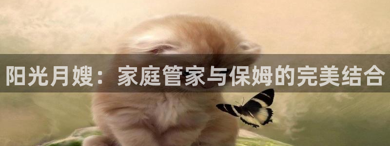 杏悦平台招商电话