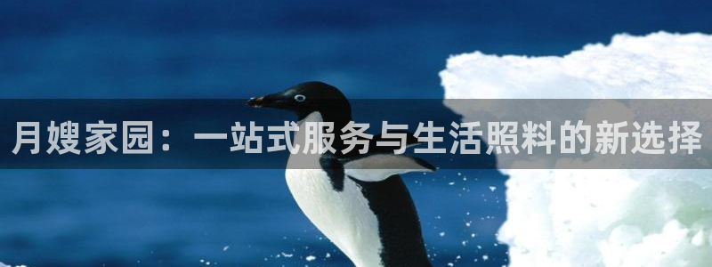 杏悦主管