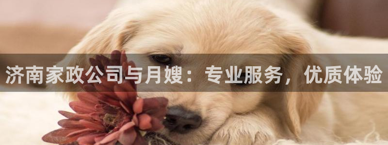杏悦官方平台是正品吗安全吗