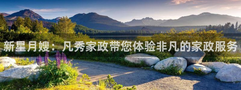 杏悦登入