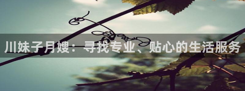 杏悦平台开户地址是什么