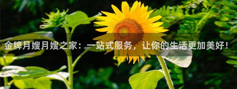 杏悦登陆地址