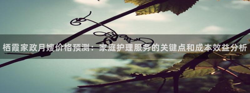 杏悦平台开户地址