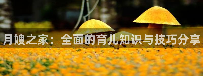 杏悦登陆地址