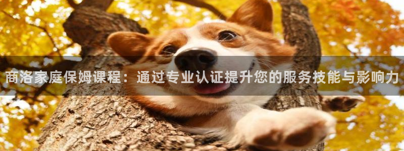 杏悦官网登录入口网址是多少