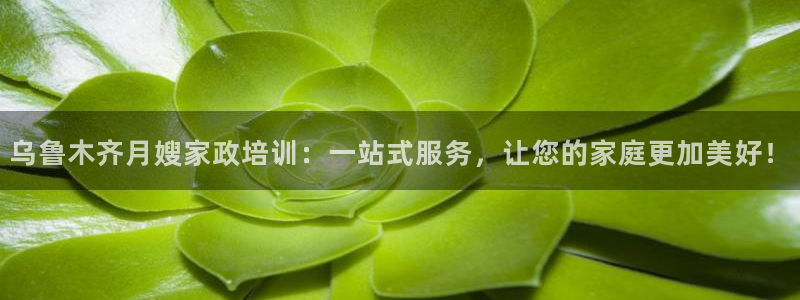 杏悦平台代理怎么做的