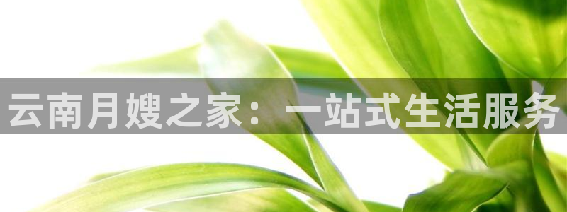 杏悦登入