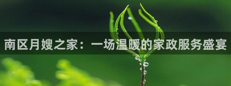 杏悦平台代理怎么赚钱快