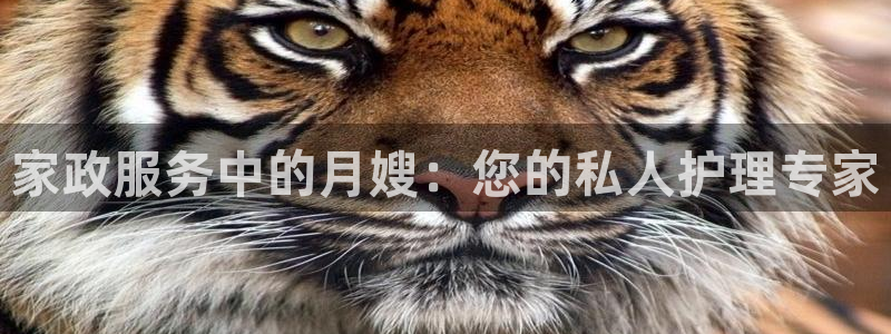 杏悦官网登录入口网址是什么