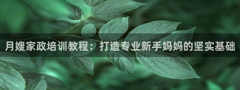 杏悦招商地址