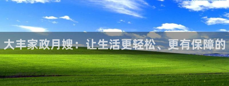 杏悦平台代理多少钱