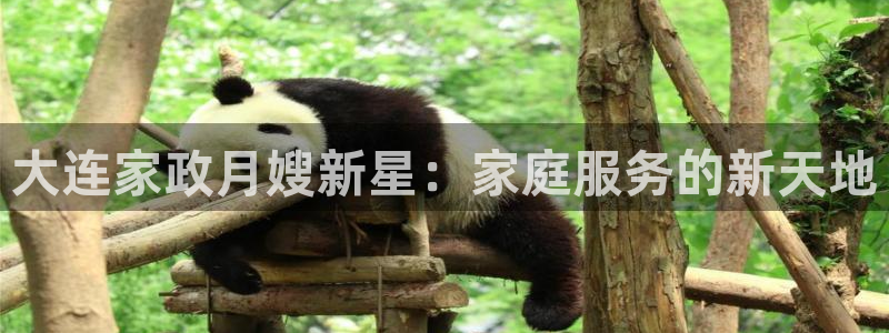 杏悦平台可靠吗是真的吗吗