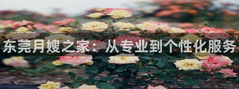 杏悦平台登录网址是什么