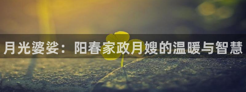 杏悦平台登录网址查询