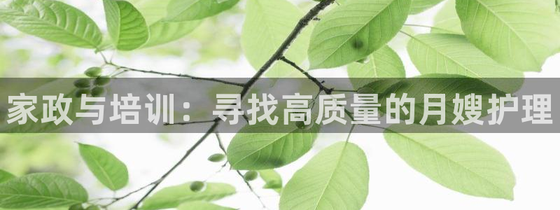 杏悦平台登录网址是什么
