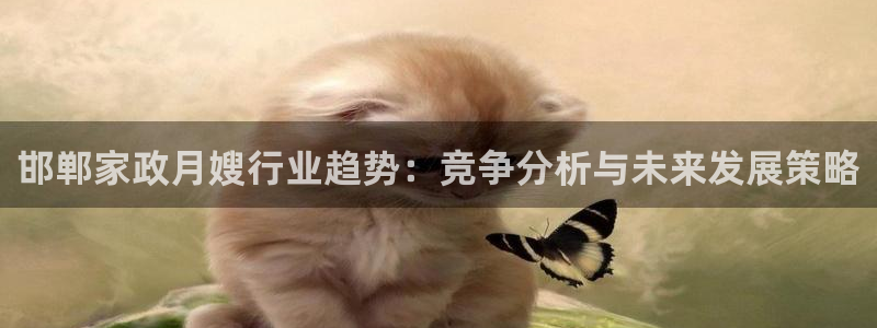 杏悦平台代理怎么做