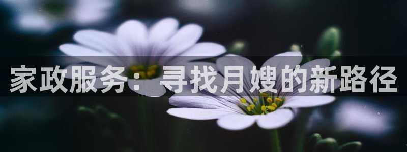 杏悦总代理