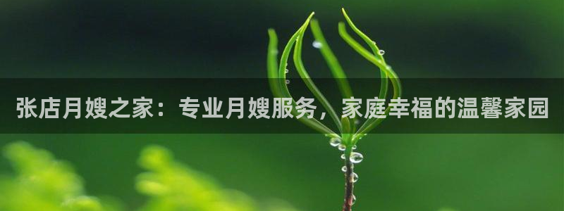 杏悦登入