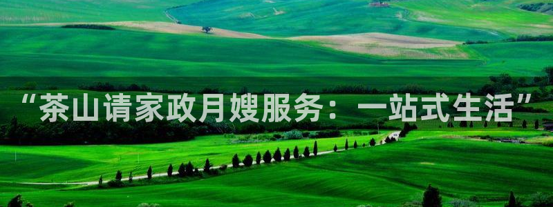 杏悦平台线路测速